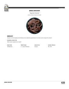 Squirmin' Worms Lesson Plan