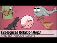 Ecological Relationships Instructional Video
