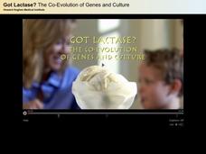 Got Lactase? The Co-Evolution of Genes and Culture Instructional Video