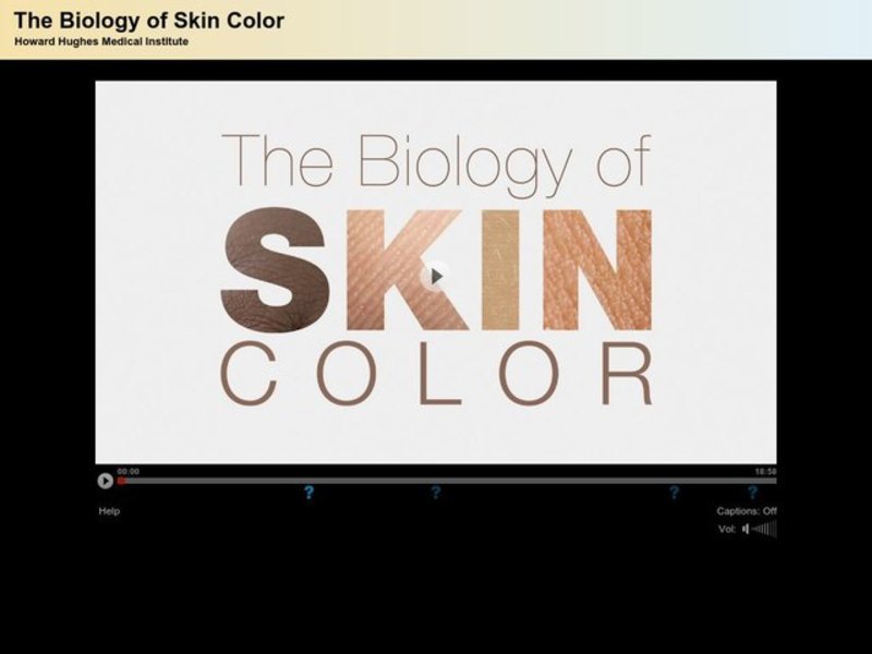 Skin Color Interactive Video: The Biology of Skin Color Instructional Video