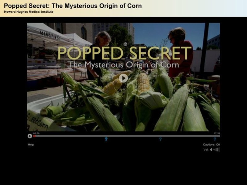Popped Secret Film with Quiz: The Mysterious Origin of Corn Instructional Video