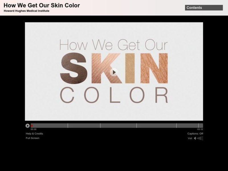How We Get Our Skin Color Interactive Instructional Video