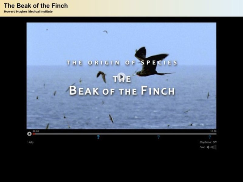 The Beak of the Finch Instructional Video