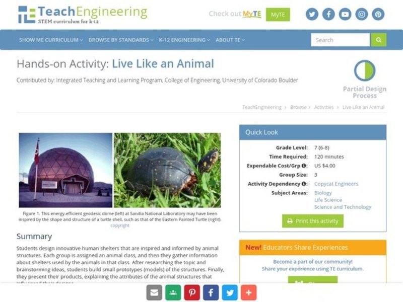 Live Like an Animal Activity