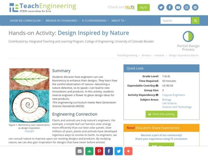 Design Inspired by Nature Activity