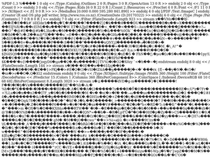 Giving an Oral Book Report Lesson Plan