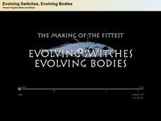 Stickleback Film with Quiz: Evolving Switches, Evolving Bodies Instructional Video