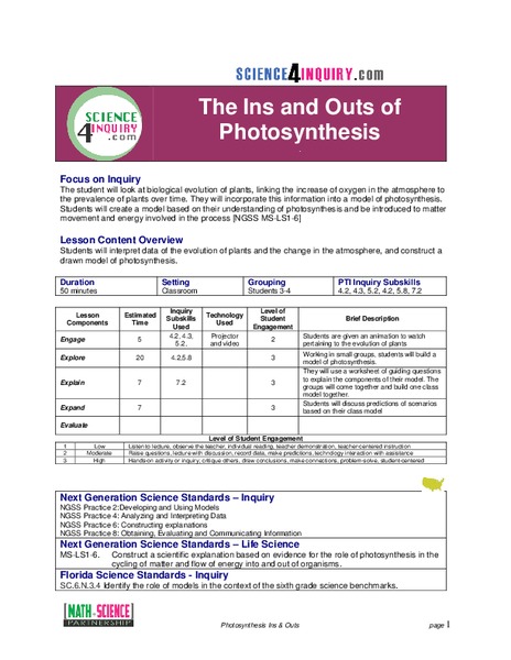 The Ins and Outs of Photosynthesis Lesson Plan