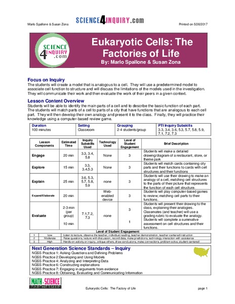Eukaryotic Cells: The Factories of Life Lesson Plan