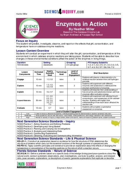 Enzymes in Action Lesson Plan
