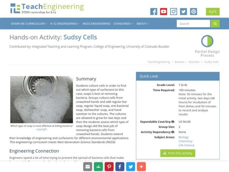 Sudsy Cells Activity