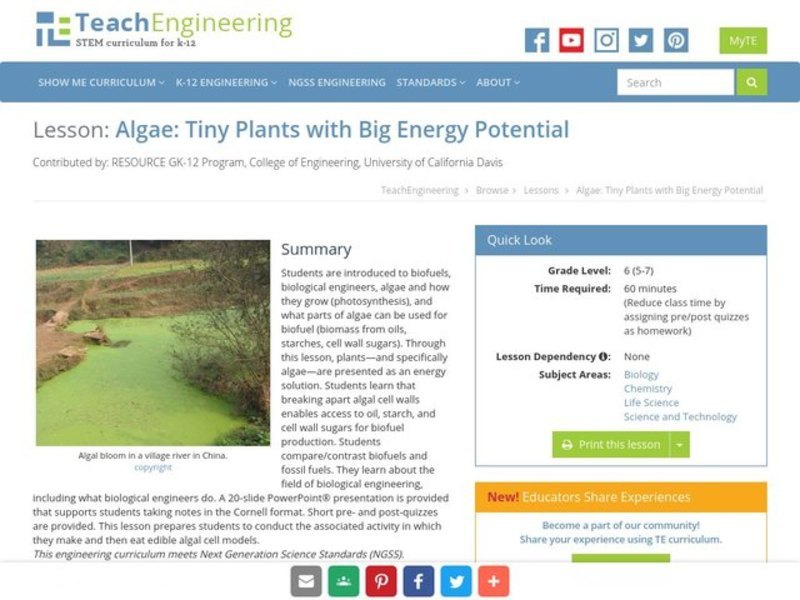 Algae: Tiny Plants with Big Energy Potential Lesson Plan