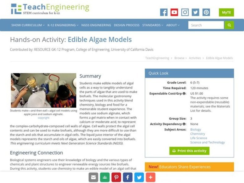 Edible Algae Models Activity
