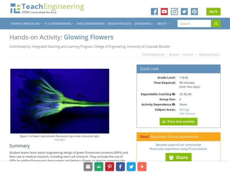 Glowing Flowers Activity