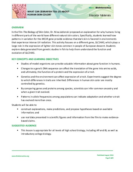 Zebrafish and Skin Color Activity