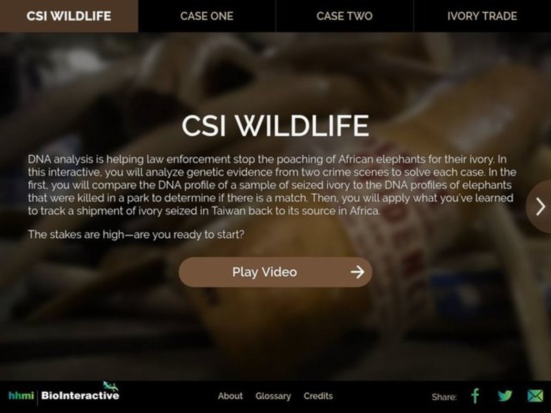 CSI Wildlife Interactive