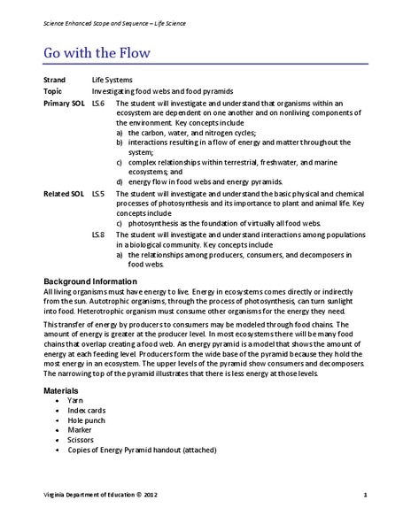 Go with the Flow Lesson Plan