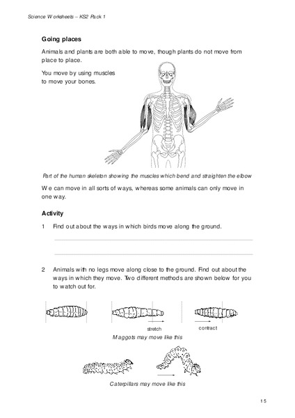 Going Places Worksheet