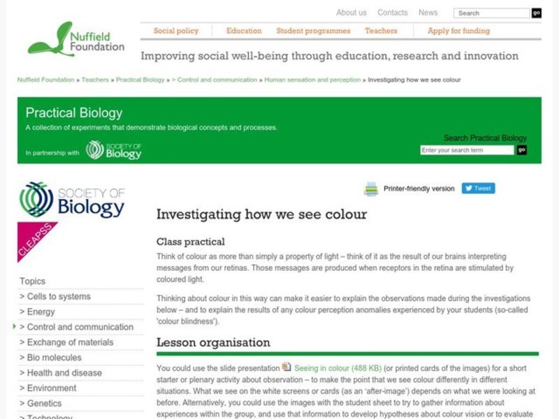 Investigating How We See Colour Lesson Plan