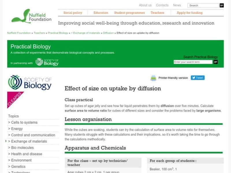 Effect of Size on Uptake by Diffusion Lesson Plan
