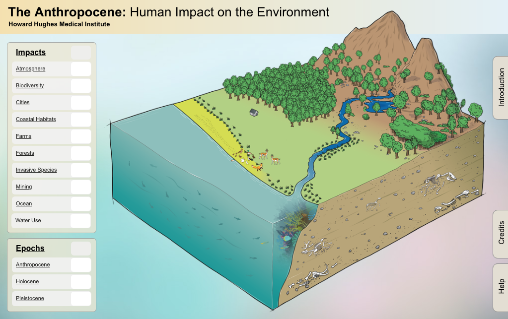 The Anthropocene: Human Impact on the Environment Interactive