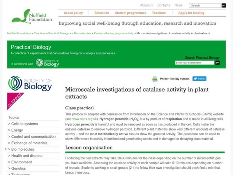 Microscale Investigations of Catalase Activity in Plant Extracts Lesson Plan