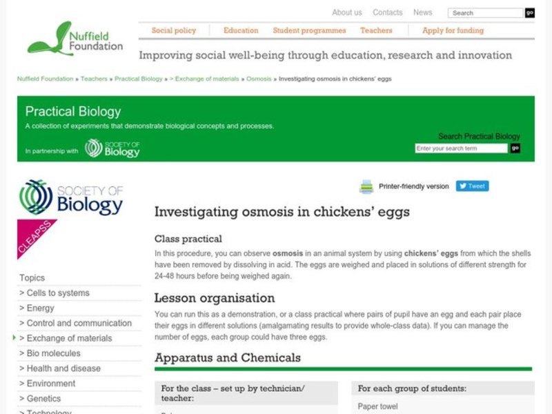 Investigating Osmosis in Chickens' Eggs Lesson Plan