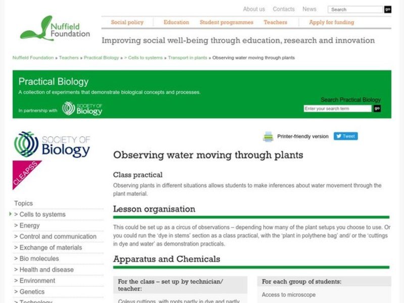 Observing Water Moving Through Plants Lesson Plan