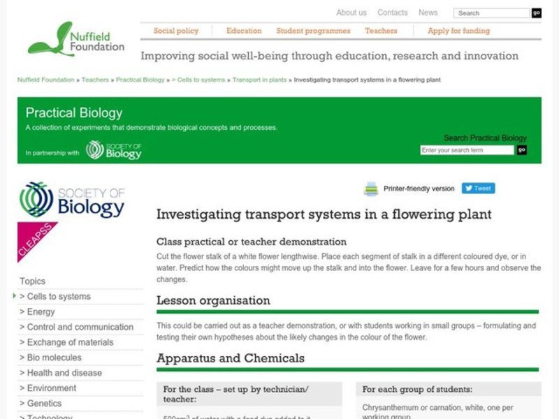 Investigating Transport Systems in a Flowering Plant Lesson Plan