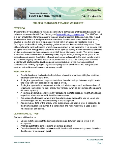 Building Ecological Pyramids Activity