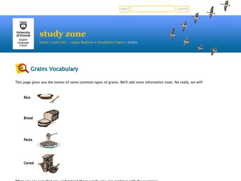 Grains Vocabulary Interactive