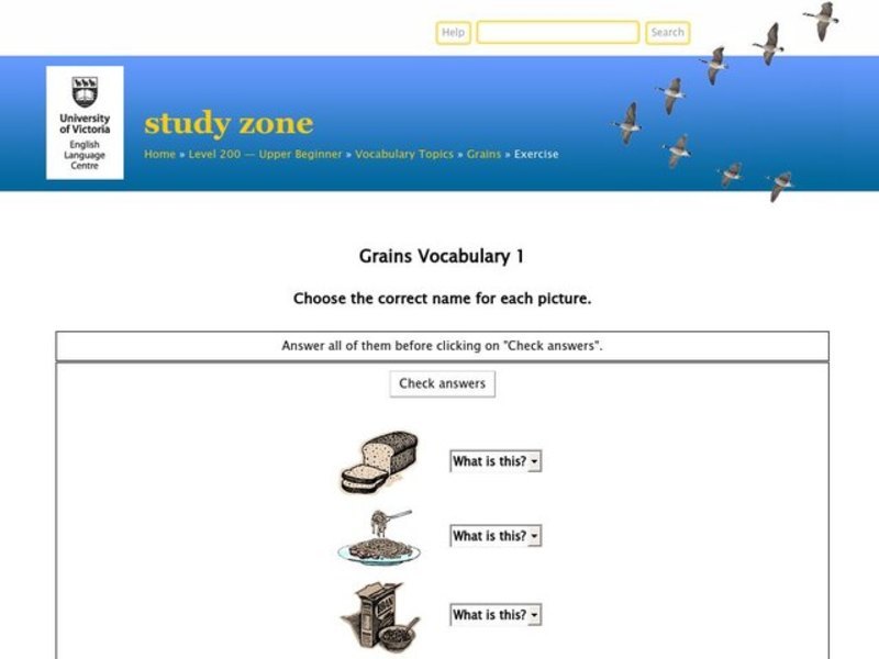 Grains Vocabulary Interactive