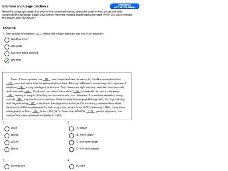 Grammar and Usage: Section 2 Interactive