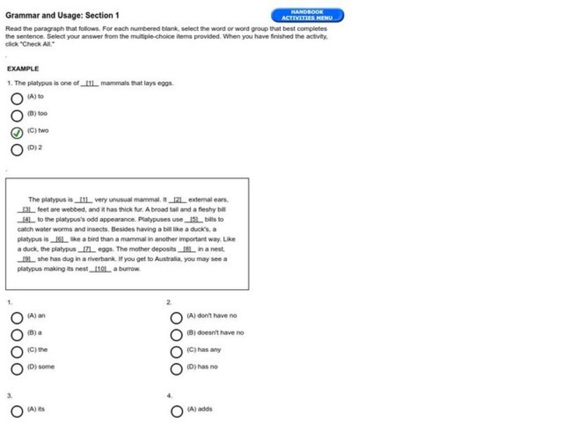 Grammar and Usage: Section 2, #3 Interactive