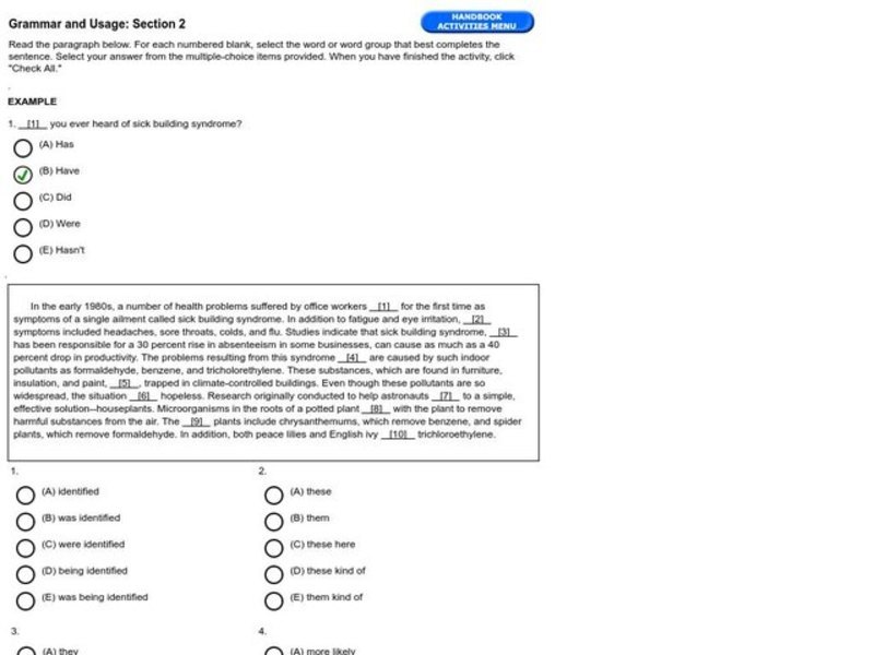 Grammar and Usage: Section 2, #4 Interactive