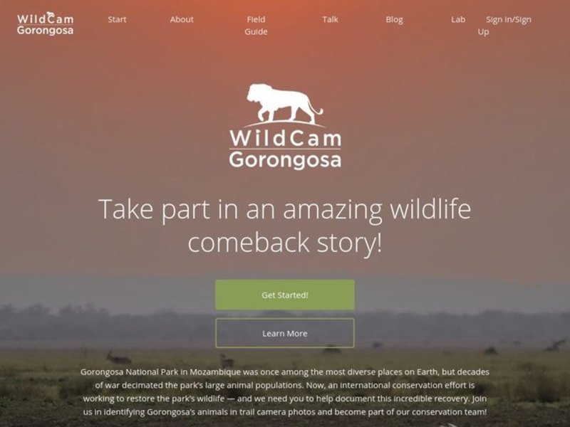 WildCam Gorongosa Interactive