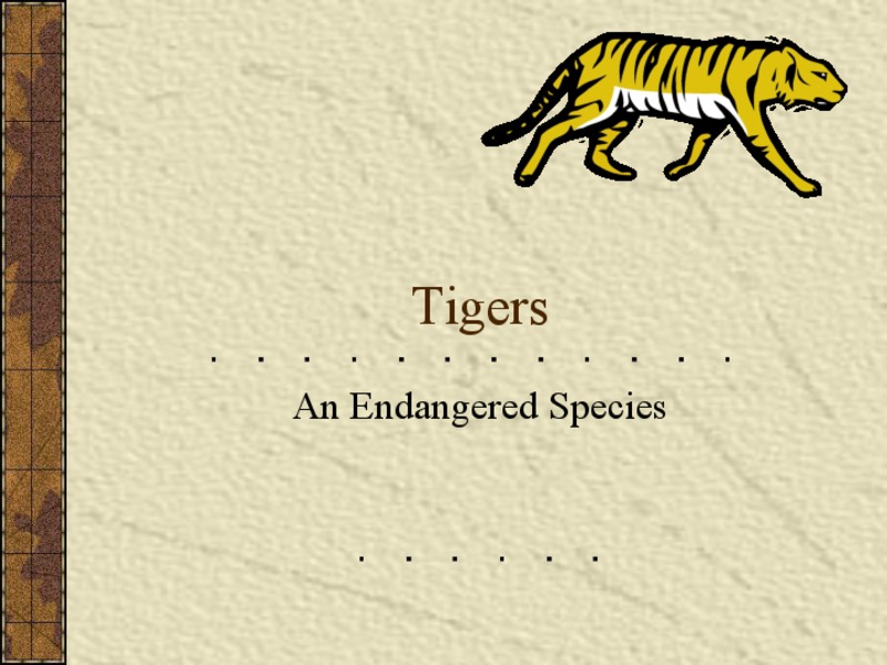 Tigers: An Endangered Species PPT