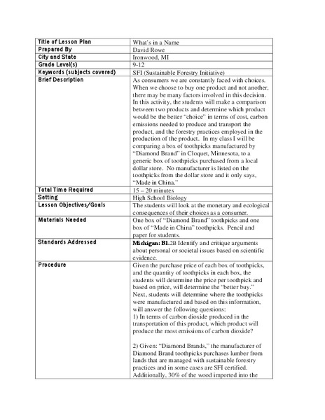 What's in a Name Lesson Plan