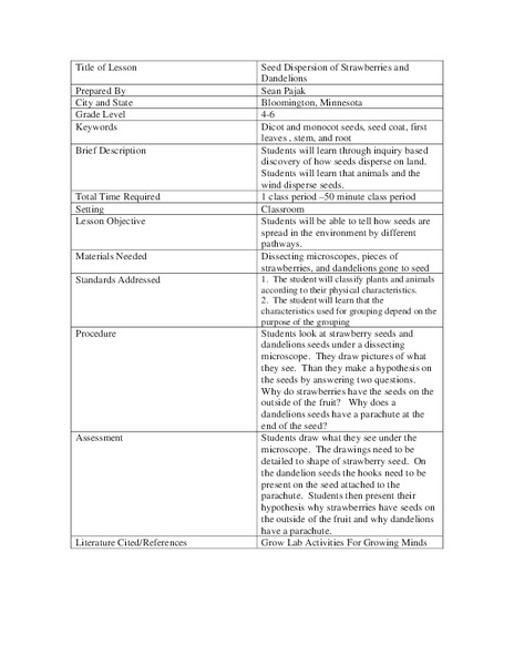 Seed Dispersion of Strawberries and Dandelions Lesson Plan