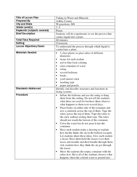 Taking in Water and Minerals Lesson Plan