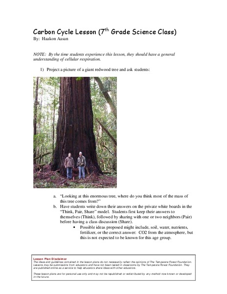 Carbon Cycle Lesson Lesson Plan
