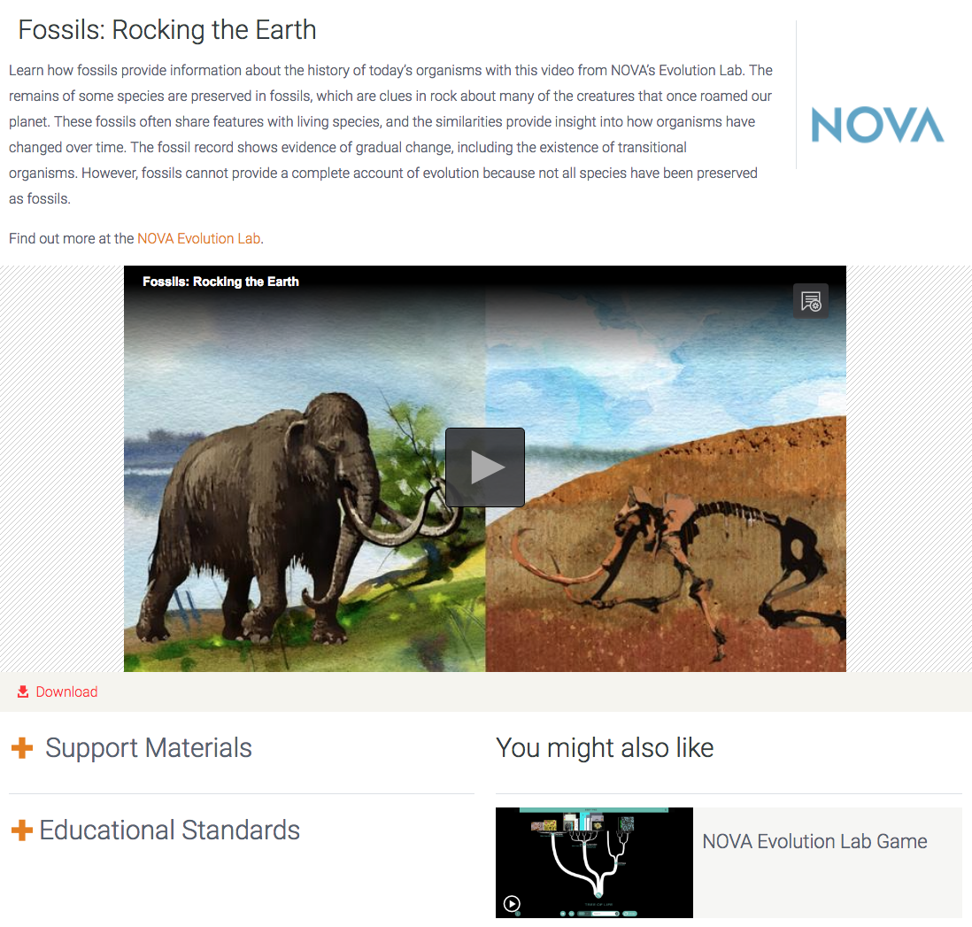 Fossils: Rocking the Earth Instructional Video