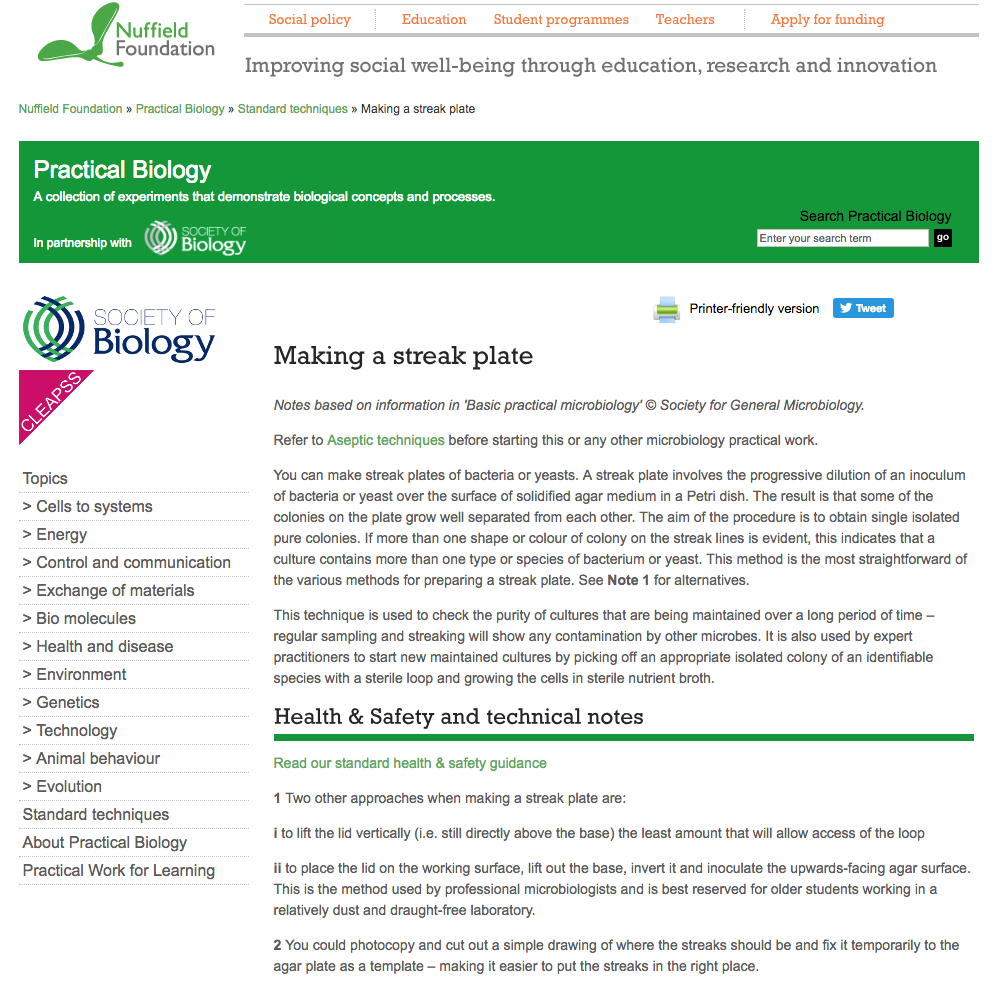 Making a Streak Plate Activity