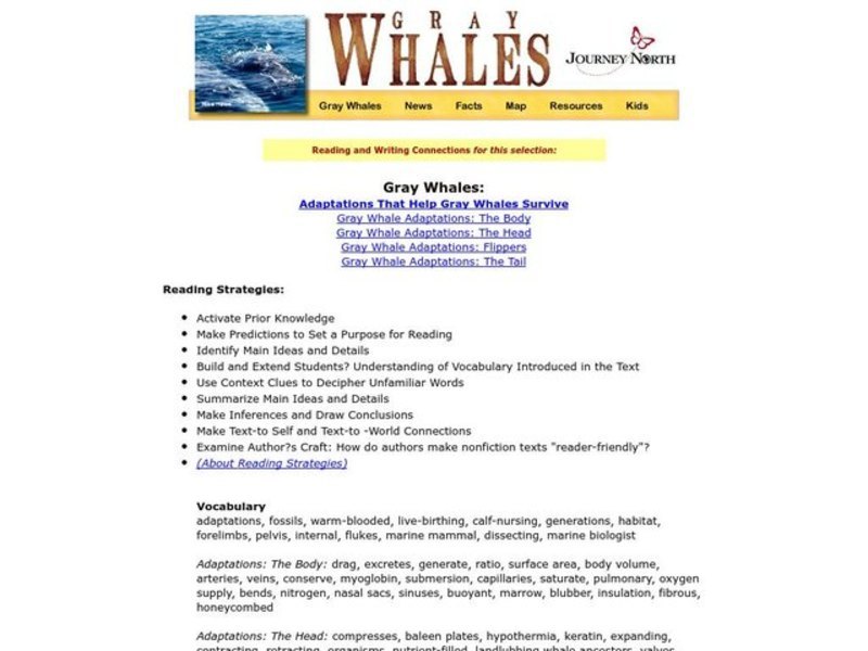 Gray Whales Lesson Plan