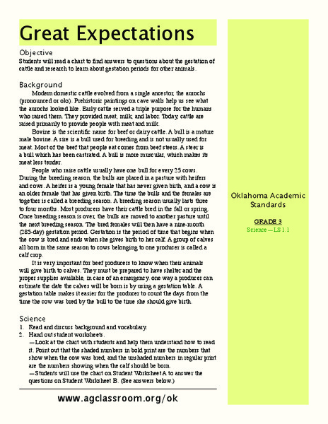 Great Expectations Lesson Plan