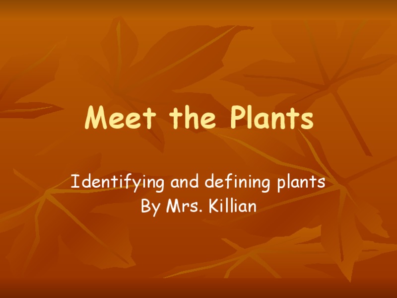 Meet the Plants PPT