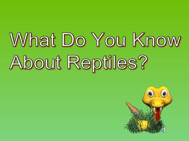 What Do You Know About Reptiles? PPT