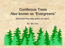 Coniferous Trees PPT