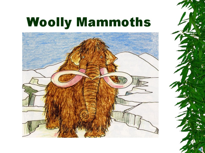 Woolly Mammoths: Anticipation Guide PPT