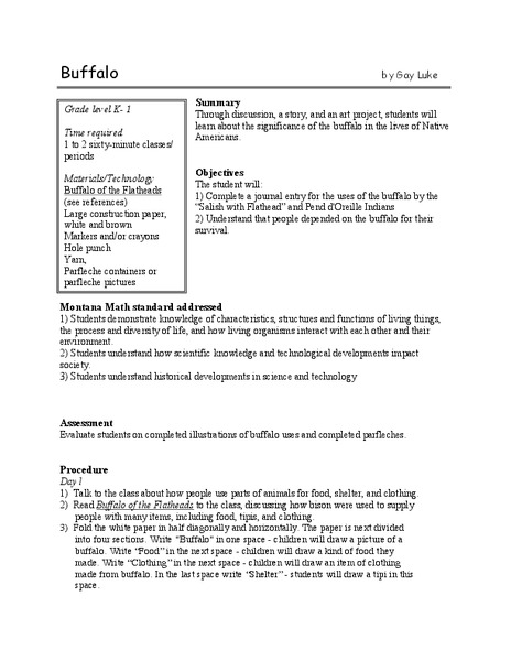 Buffalo Lesson Plan